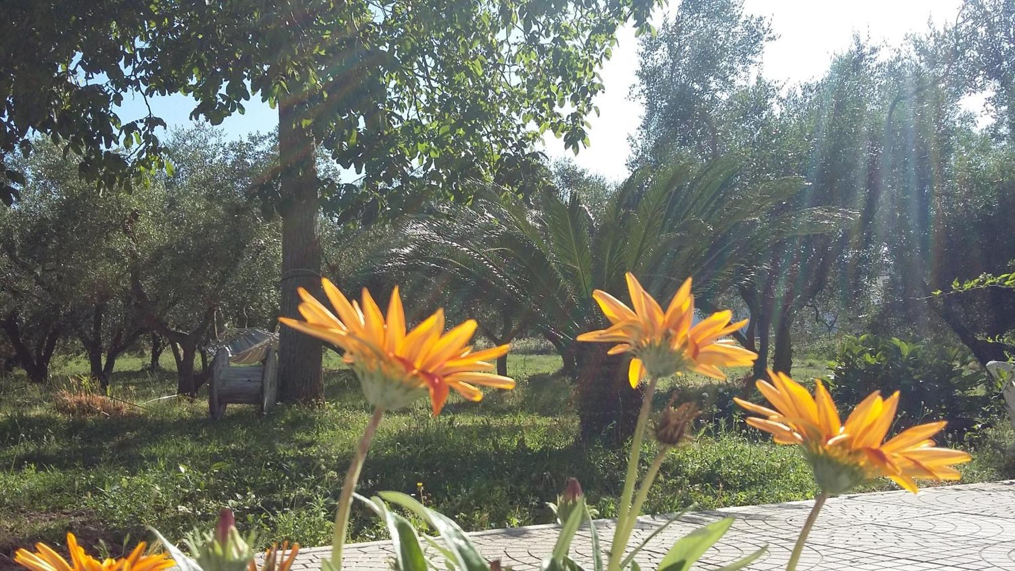 Agriturismo Santa Maria Marta Eksteriør billede