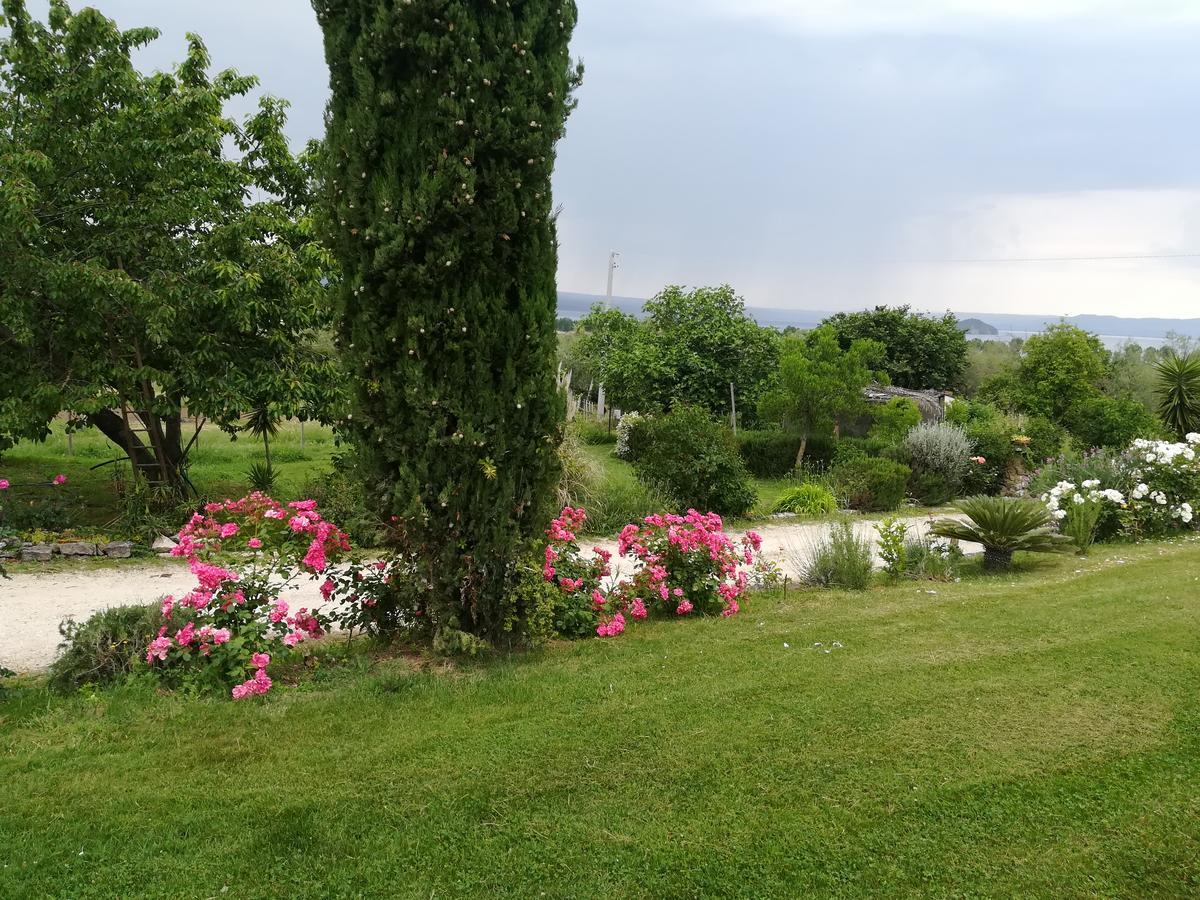 Agriturismo Santa Maria Marta Eksteriør billede